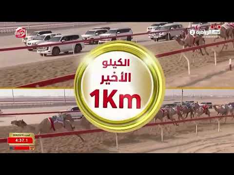 ش 23 (شاهين) لـ طبازه برقش بن طبازه العامري 6:09:53 ، شارة الديوان 2026/9/12 لقايا الوثبة