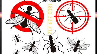 Fast Pest Control Melbourne | 1800 339 712 | Pest Control Melbourne
