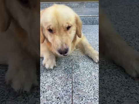 Eat first and talk later