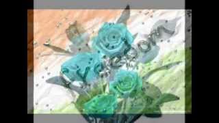 YE DESH HE VEER JAWANO KA AARIF PANWAR M. 9982505151 MOST VIEWED TOP  RATED [WWW.DIDWANA.COM]