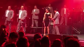 LOS ÁNGELES AZULES  CUMBIA DEL ACORDEÓN