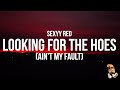 Sexyy Red Looking For The Hoes Ain T My Fault Lyrics You Like My Voice It Turn You On
