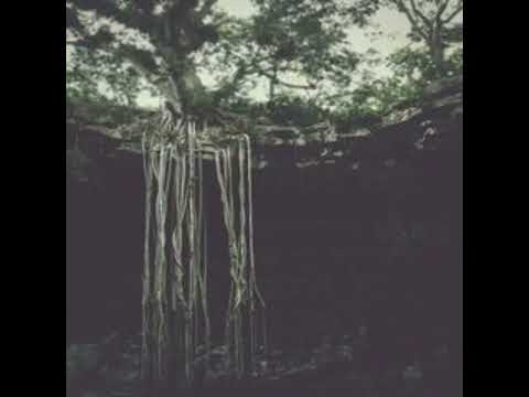 Bvdub - Tears on Deaf Eyes (Full Album)