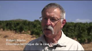 preview picture of video 'Les vignobles DOM BRIAL signent Authentis avec FRAYSSINET'