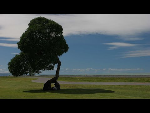 Alex E. Magnus - Der blaue Planet - Wem gehört die Welt? (Ein Lied zum Klimawandel)