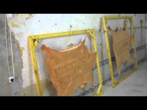 Alejandro Somaschini: Alejandro Somaschini - Carpe Diem