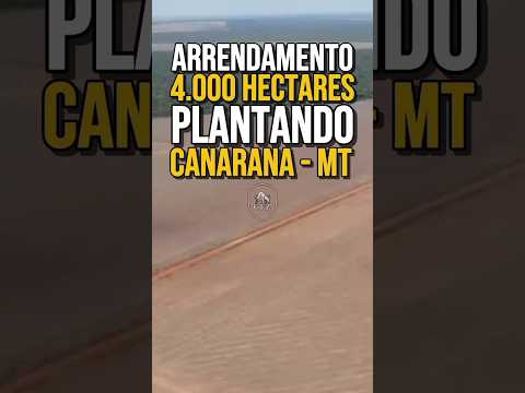 ARRENDAMENTO EM CANARANA NO MATO GROSSO - ÁREA TOTAL DE 4.000 HECTARES