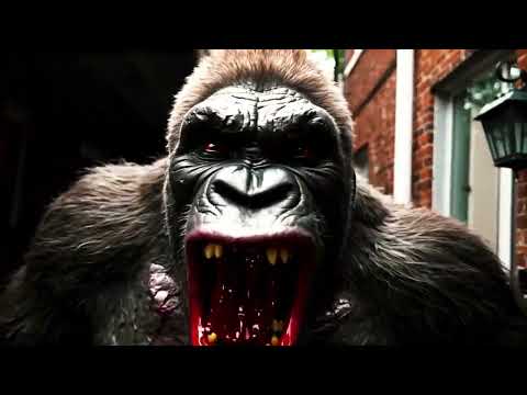 C4 Murda - Gorillas (Offizielles Musikvideo)