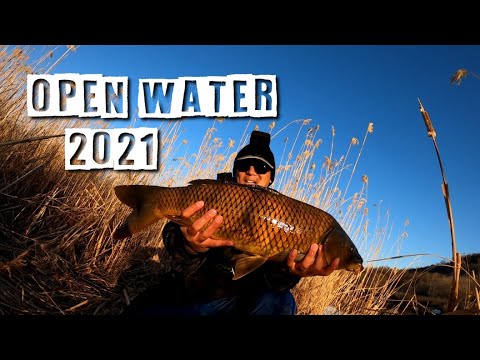 "They Are Stacked!" Fishing Open Water in Late March 2021 | Incidental Carp Action!