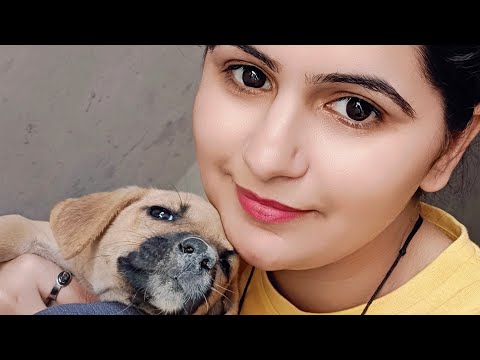 Aaj hum le aaye pyara sa dog 🐶🐕 | pooja Khatkar | vlogs | couple vlogs | #vlog #dog #vlogger