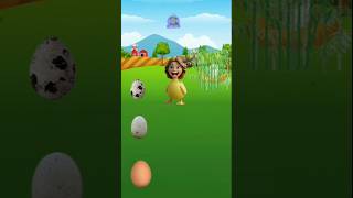Download lagu where are the duck eggs? #cartoon #animation #shortsfeed #quiz mp3 Download lagu where are the duck eggs? #cartoon #animation #shortsfeed #quiz mp3