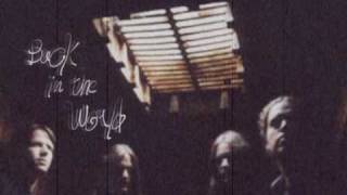 Daylight Dies - Back in the World