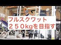 #スクワット フル250kgを目指す 記録動画① 苦手でもナチュラルでも強くなれる方法 動画最後に解説あり《愛媛トレーニング同好会》 2019年12月4日 宇和島トレ