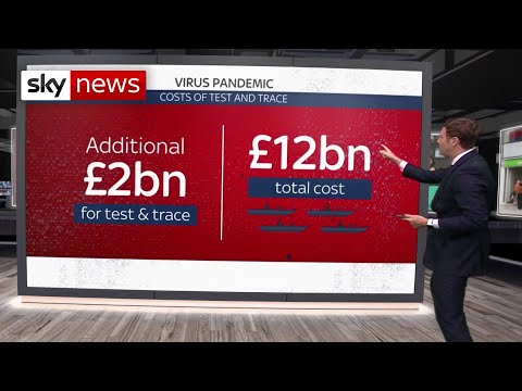 How much could Chancellor Rishi Sunak's plan cost the exchequer?