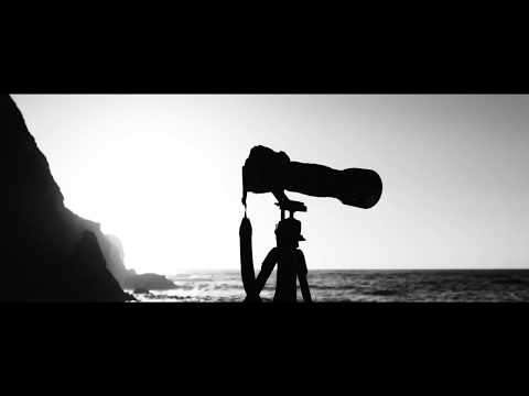 Nollan, Vanessa Dantas - Paradise