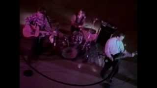 Ecoteur - Decorated Life