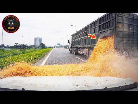 Incredible Moments Captured on Camera You Have to See to Believe! | New 2025 Update