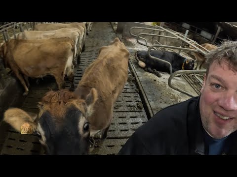 Farm-Vlog 2