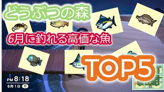【どうぶつの森実況】6月に釣れる高価な魚TOP5紹介！1時間でいくら分釣れるのか！？