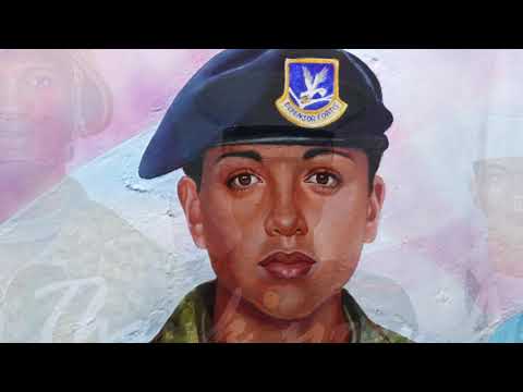 Vfw Antioch Il