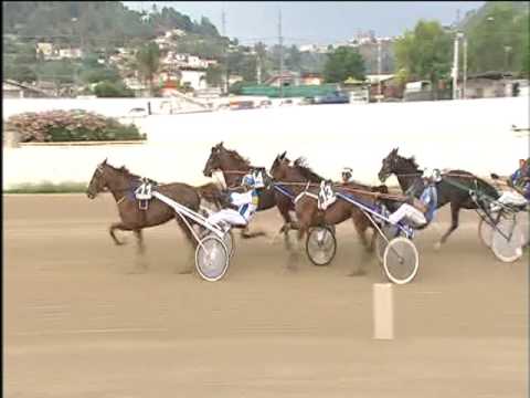 Trotto 17/06/2017 - 6ª corsa - TRIS