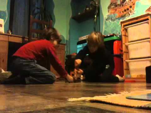 Tirannosauri  rex mega