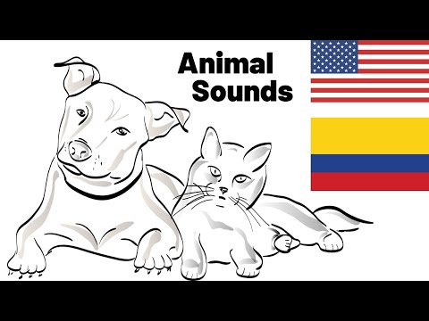 Spanish and English Animal Sounds | Bible with the Barretos