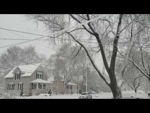 Dupage County, IL Blizzard With Heavy Snow - 11/26/2018