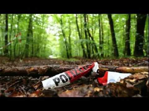 DER TOTE IM WALD Hörspiel Krimi deutsch german Audiobook