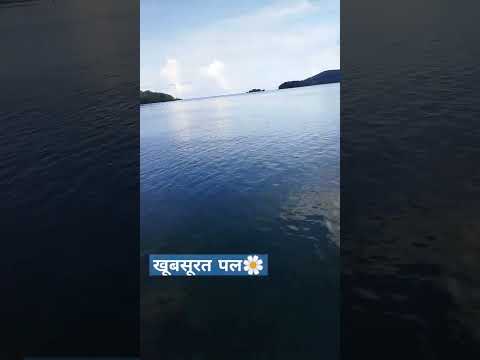 #Andman&Nicobar🏝island's#nature🌿🍃#beach🌊#ManjeriBeach#colourfulcorals🐚#colourfulfishes🐟🐠🐡