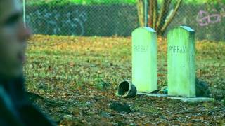 Video Life - Chris Spedding