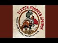 Thunderbird Will Do Just Fine (Live)