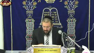 שלחן ערוך יורה דעה סימן קע"ו ¤ הרב אפרים ניסן ¤ כ"ד שבט תשפ"ו (11.2.2026) (מוסדות תורת דוד) - התמונה מוצגת ישירות מתוך אתר האינטרנט יוטיוב. זכויות היוצרים בתמונה שייכות ליוצרה. קישור קרדיט למקור התוכן נמצא בתוך דף הסרטון