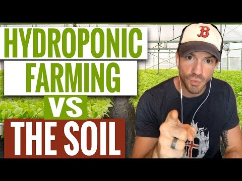 Is Hydroponic Farming Safe? | Hydroponic vs Soil | Hydroponic Nutrients