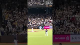 【TeamTaiwan】#陳傑憲 日本VS台湾@台北大巨蛋20241116 #台湾チア #cheerleading #amaze #啦啦隊 #premier12 #teamtaiwan