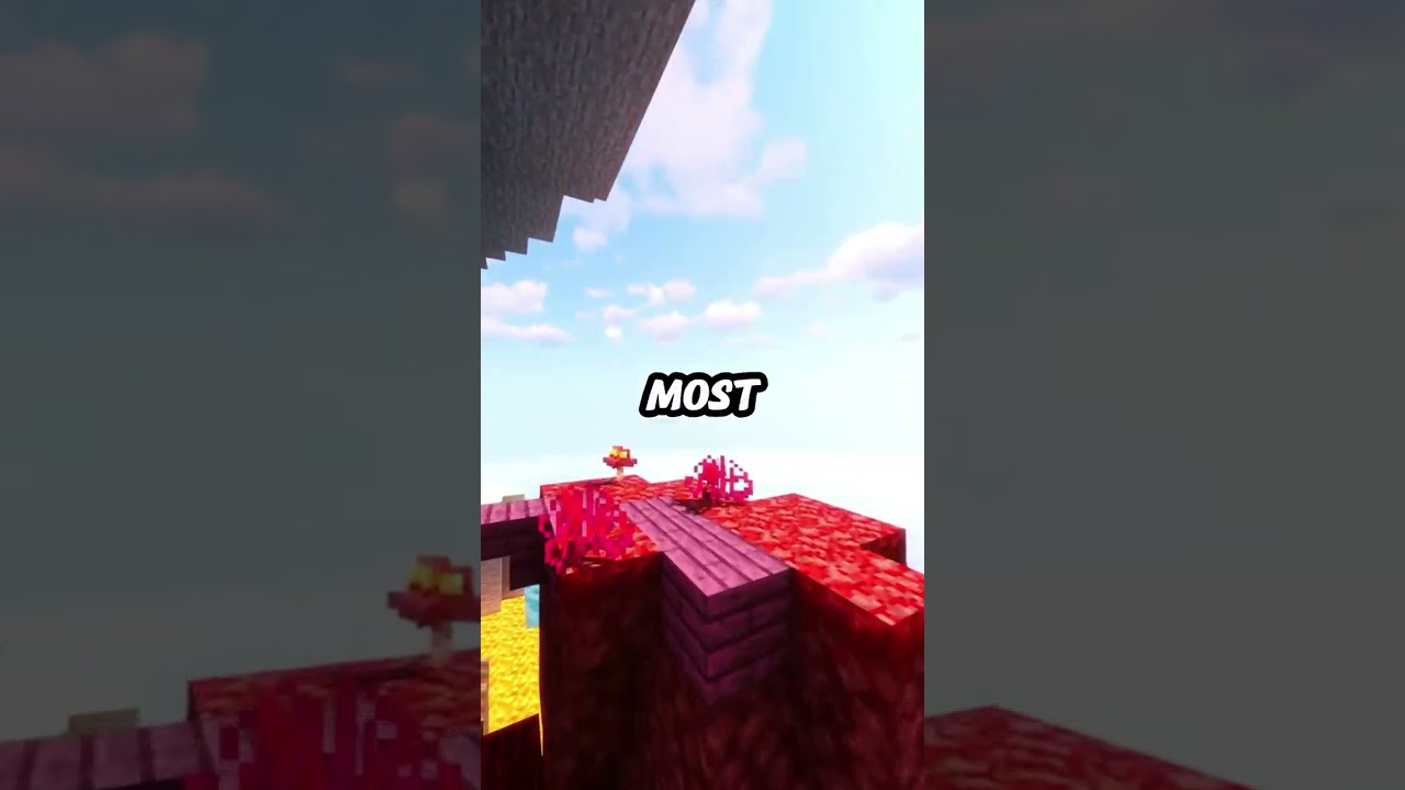 My Parents Killed my Dog while I was off at College and I'll NEVER Forgive them.