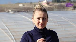 Tüketen Değil Üreten Bir Safranbolu İçin Çalışıyoruz