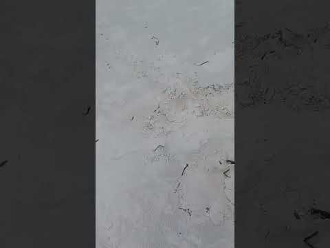 jumeirah beach resort nyali