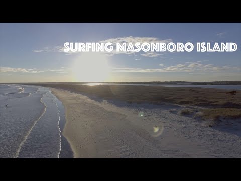 image-Are there trees on Masonboro Island?