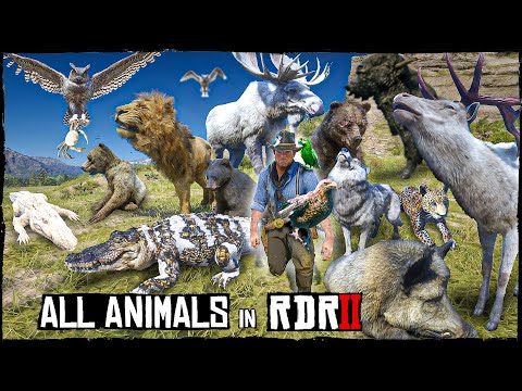 RDR2 Animal Encyclopedia | All Creatures & Wildlife in 4K