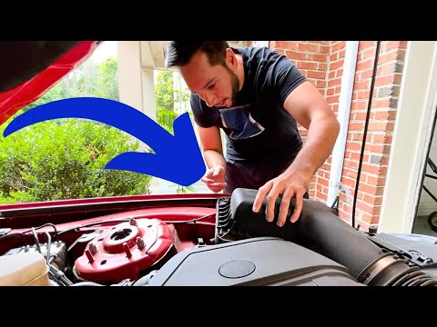 2019 Mustang GT - K&N Drop In Air Filter Install & Review!