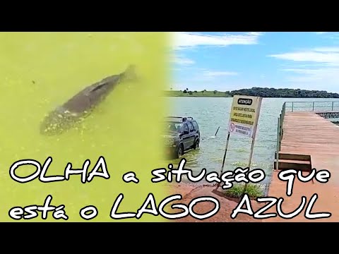 OLHA a situação que está o LAGO AZUL de SÃO SIMÃO GO 😱😢