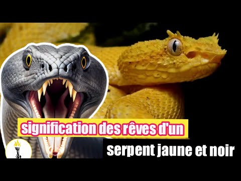signification des rêves d'un serpent jaune et noir