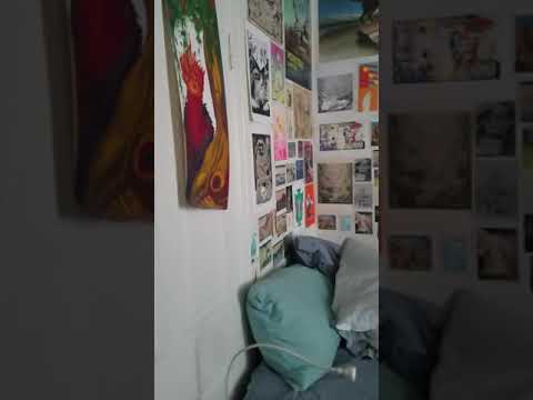 1513 Bolton St. - Video 2 of 2