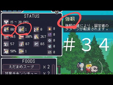 【ダングリード】#34 優先すべきステータス【DUNGREED】