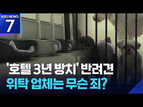 ‘호텔 3년 방치’ 반려견…위탁 업체는 무슨 죄? / KBS 2026.09.09.