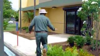 preview picture of video 'Landscaping , Como hacerlo ?   national weather service PR . ( video 1 )'