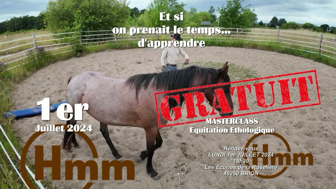 Masterclass 1er Juillet 2024