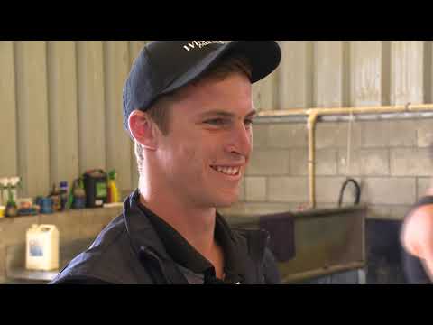 Just the Job Series 9 Episode 5