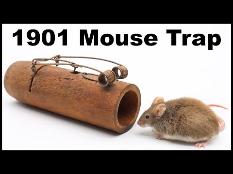 A Rare Mouse Trap From 1901 Catches A Mouse In The Barn. Mousetrap Monday